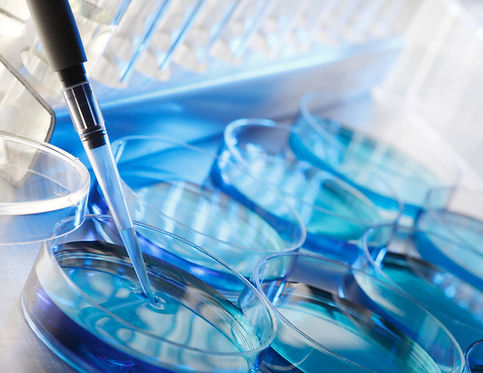 上清液抗衰老療法